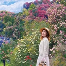 毕节旅游 缩略图 2