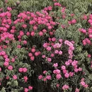 毕节旅游 缩略图 10