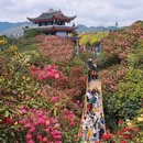 毕节旅游 缩略图 3