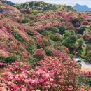 毕节旅游 缩略图 6