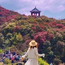 毕节旅游 缩略图 4