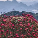 毕节旅游 缩略图 14