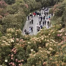 毕节旅游 缩略图 1