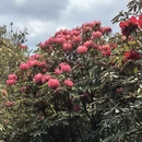 毕节旅游 缩略图 16