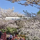 宁波旅游 缩略图 13
