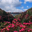 毕节旅游 缩略图 1