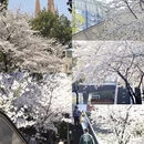 宁波旅游 缩略图 17