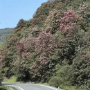 毕节旅游 缩略图 18