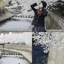 宁波旅游 缩略图 16