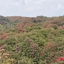 贵阳旅游 缩略图 2