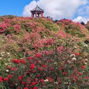 毕节旅游 缩略图 2