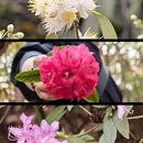 贵阳旅游 缩略图 7