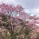 毕节旅游 缩略图 17