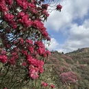 毕节旅游 缩略图 8