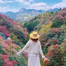 毕节旅游 缩略图 1