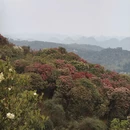 毕节旅游 缩略图 3