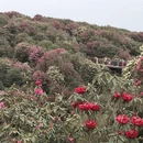 毕节旅游 缩略图 9