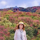 毕节旅游 缩略图 5