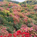 毕节旅游 缩略图 8