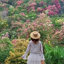 毕节旅游 缩略图 9