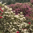 贵阳旅游 缩略图 7
