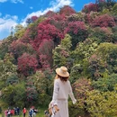毕节旅游 缩略图 14