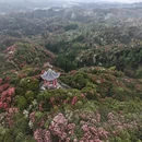 遵义旅游 缩略图 5