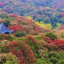 毕节旅游 缩略图 13