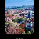 毕节旅游 缩略图 3