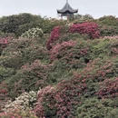 贵阳旅游 缩略图 13