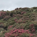 贵阳旅游 缩略图 11