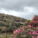 贵阳旅游 缩略图 5