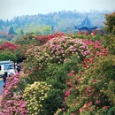 毕节旅游 缩略图 16