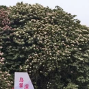 毕节旅游 缩略图 6