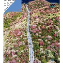 毕节旅游 缩略图 2