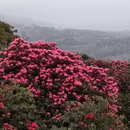 毕节旅游 缩略图 4