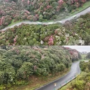 遵义旅游 缩略图 6