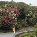 遵义旅游 缩略图 7