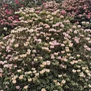 毕节旅游 缩略图 5