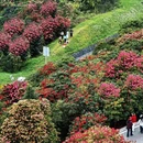 毕节旅游 缩略图 15