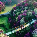 毕节旅游 缩略图 4