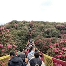 贵阳旅游 缩略图 1