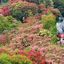 毕节旅游 缩略图 11
