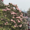 毕节旅游 缩略图 17