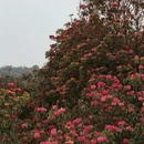 毕节旅游 缩略图 2