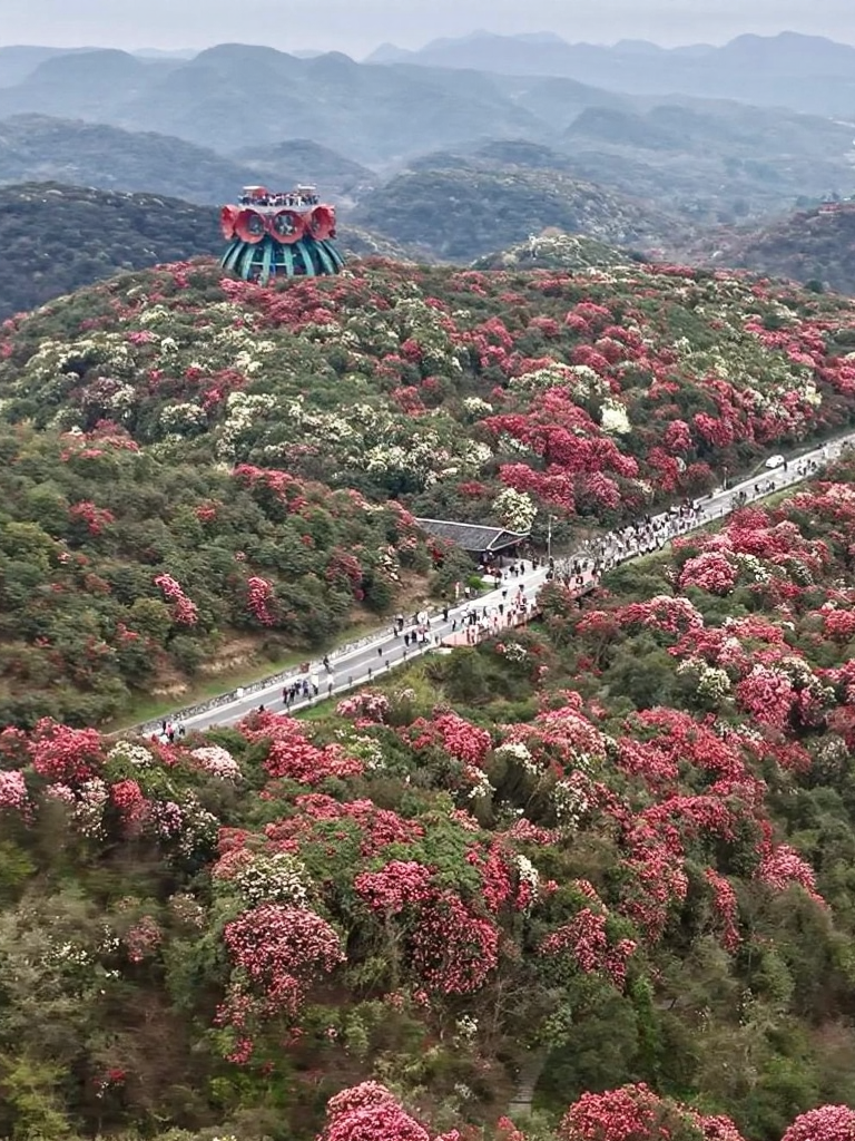 遵义旅游