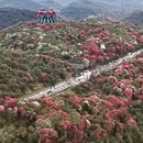遵义旅游 缩略图 1