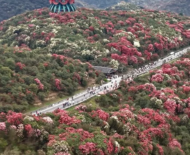 遵义旅游 1