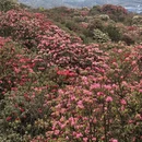 贵阳旅游 缩略图 4