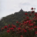 毕节旅游 缩略图 6